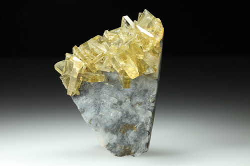 hematitehearts:  Baryte on CalciteLocality:   Meikle Mine, Elko County, Nevada, United States of America