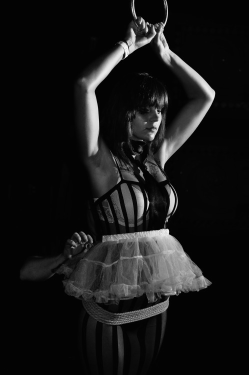pepalfreyman:  Public suspension exhibition, circa 2010