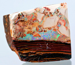unearthedgemstones:  ✨Sparkle sparkle✨  Boulder Opal in brown ironstone matrix  
