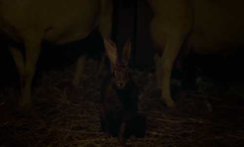 livsullmann:  The Witch (2015) dir. Robert Eggers  “Wouldst thou like to see the world?”  