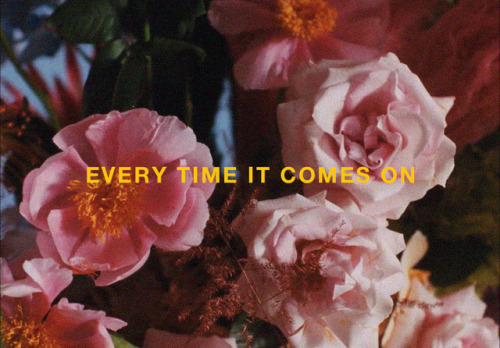 lunechanson: troye sivan // bloom