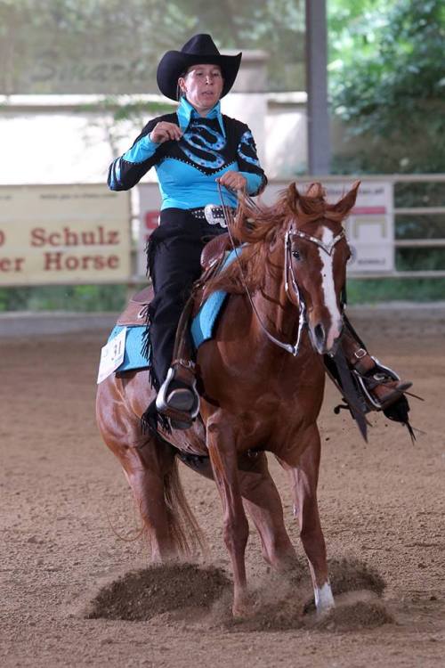 Avellana QahiraL.M. Libretto X ShamalArabian, MareBorn 2002