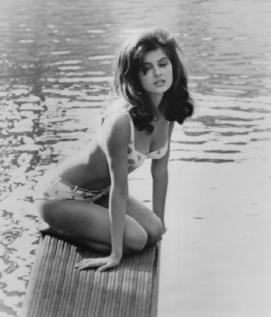 Porn Pics vintage-juene-femme:  xxhorace:  Pamela Tiffin