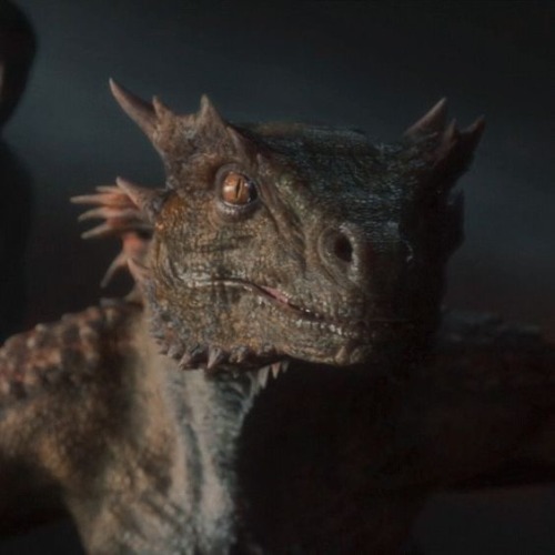 I Just Saw A Syrax Hate Post. Guy, Please. You Can Hate The Characters You Hate And Love The Characters