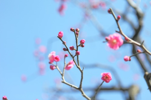 話を｢うんうん｣って聞いてくれたり よく笑ってくれたり ｢あったかくしてね｣だったり 一緒にいればそれだけで幸せ、と伝えてくれたり  そういうのであふれてる今が とても尊くて 絶対に自分の全てをかけて