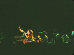 worldwarxp:  Beautiful high quality photos from when Bob Marley and The Wailers performed live at the Memorial Gymnasium   in Nashville, TN, USA to a 15,000+  crowd during their 1979 Survival Tour. Photographer: Amy Price