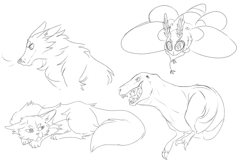 Some animal sketches I did whilst in a Discord call with friends