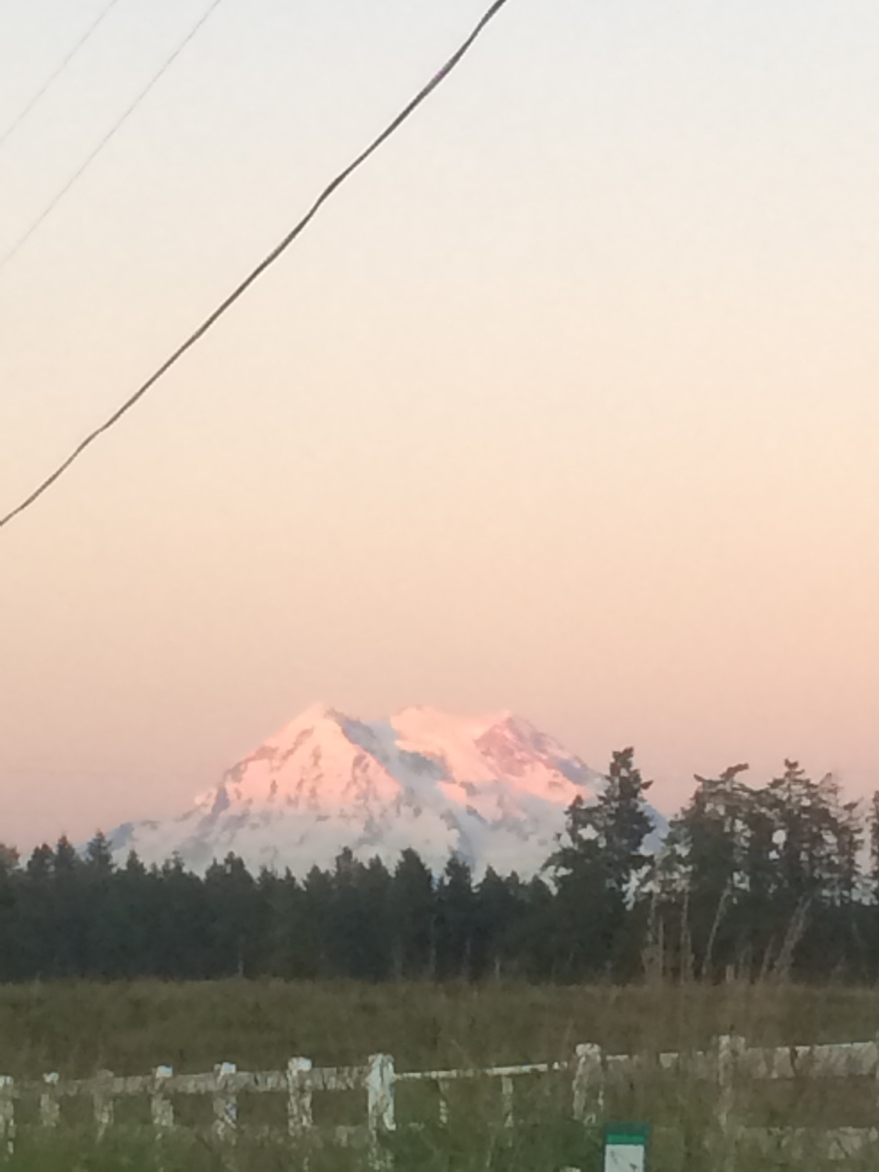 softwaring:  Mt Rainier is so lovely