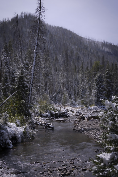Riverwindphotography:  An Early Snow On Middle Creek, Yellowstone National Park,