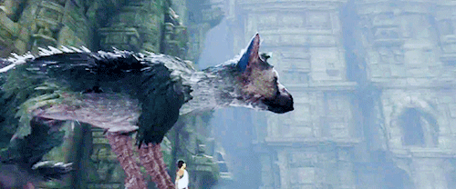 gainsboroug:  The Last Guardian - [1/?]