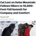 catchymemes:Source