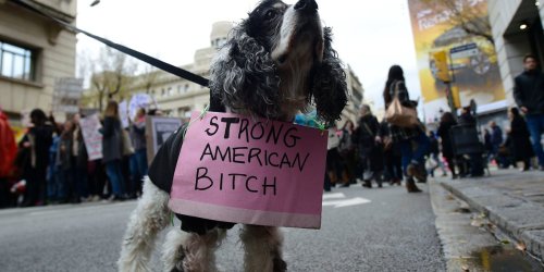 pawsapplause:Just a few of the canine heroes who marched for women and equal rights today. Thanks fo