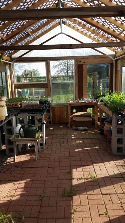 DIY greenhouse and seedlings by /u/PandaFarmer