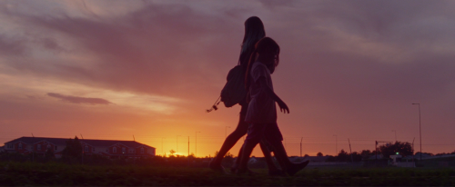 A Film A Day.
