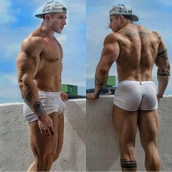 VPL Collection