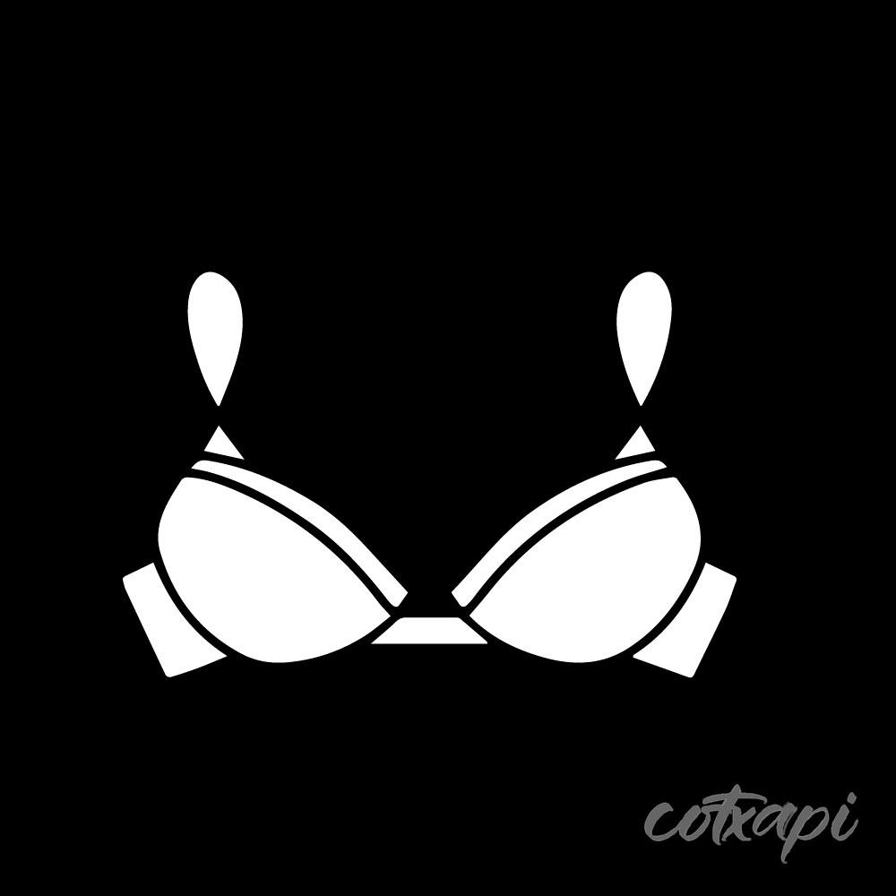 Ladies Bra Design Bikini outline Panty Underwear style in vector art