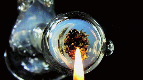 fly-so-high-420.tumblr.com/
