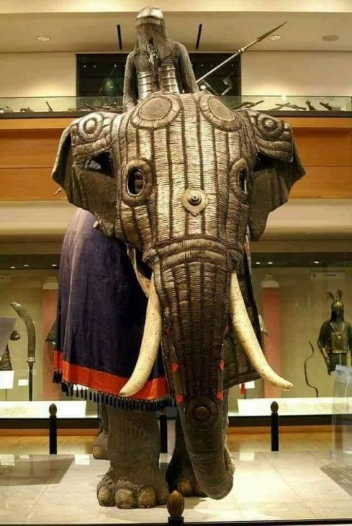 Elephant Armor, India. 17th century.
