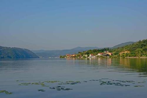 kristo-flowers:River Donau