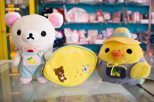 Korilakkuma & Kiiroitori Lemon Farmer Plush & Korilakkuma Lemon Coin Caseto keep you company