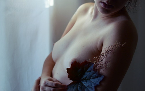 wolfundermyskin:  Build up a new me of flowers and blood (x) 