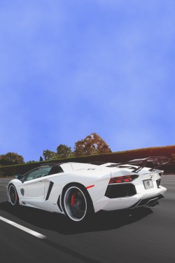 visualechoess:  Aventador