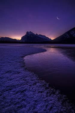 ponderation:Wish You Were Here by Jeff Lewis