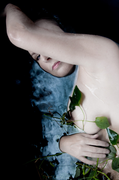 seaofcurves:  Heartstrings |  © S. E. Sullivan | July 2014 