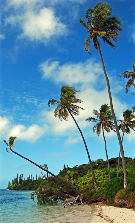 travelingcolors:  Isle of Pines | New Caledonia (by attila2008)