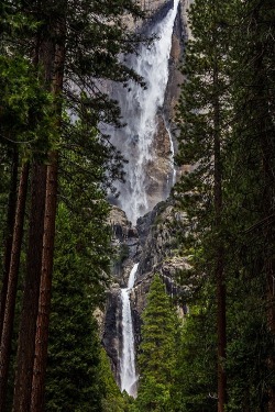 ponderation:  Yosemite Falls by Sam A.  