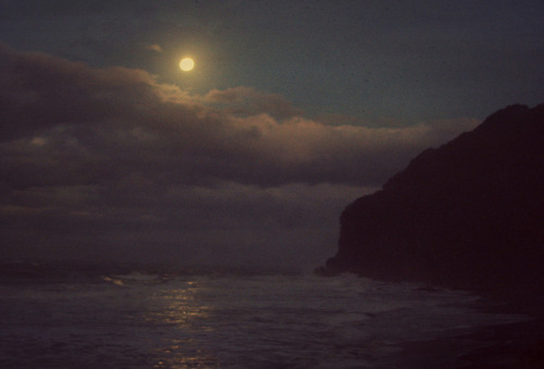 fallforflight:  new zealand moonshine 