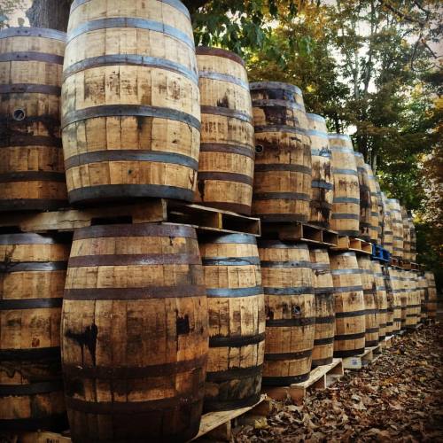 A fresh batch of once-used Kentucky bourbon barrels patiently awaits filling &amp; cellaring at 