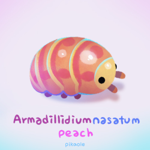 Pill bugs[ Patreon / shop / galaxy themes / insta ]