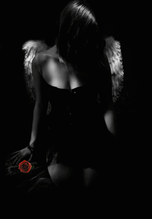 oooinfinityooo:  angelically-offered: Embrace the dark and the light Beautiful  