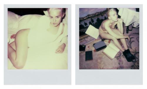 shagzoehard:  Miley cyrus 