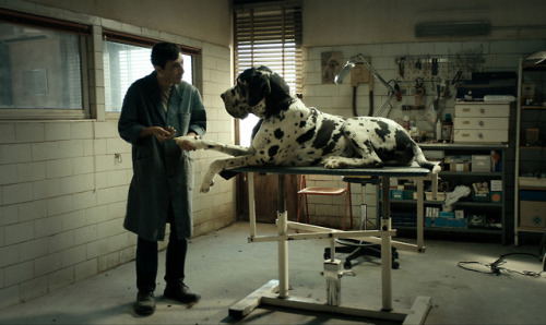 Ruff and Tumble - Matteo Garrone’s Dogman