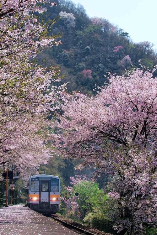 disminucion: Time to begin falling..... | Minoru Matsumura