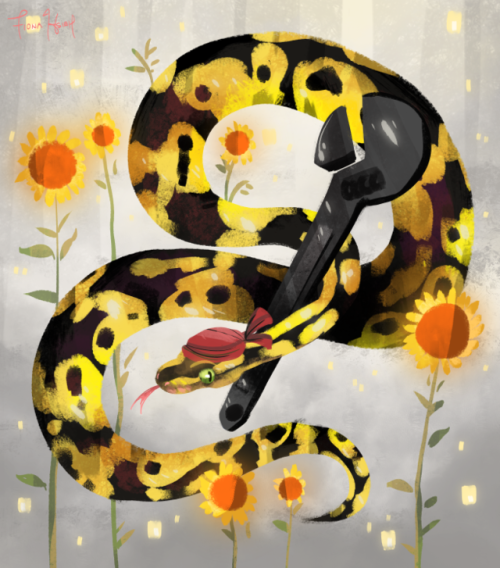 fionahsieh:@vodkavulpix ball python Winry, of course named after the Winry in fullmetal alchemist! &