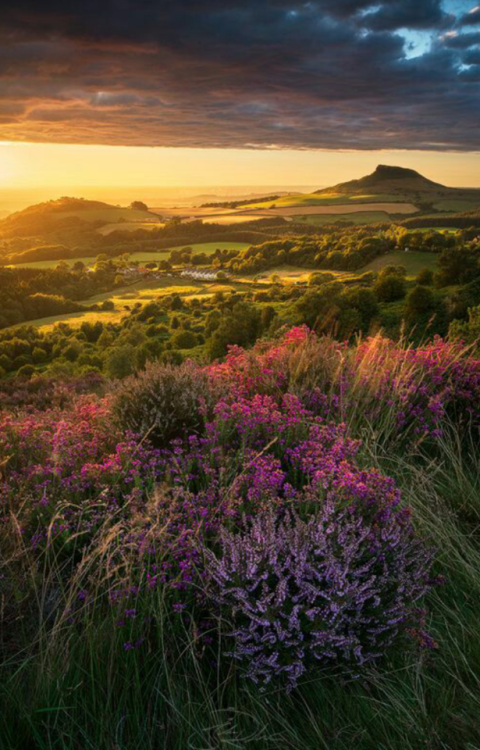 landscape-lunacy:North Yorkshire, England - by John Robinson