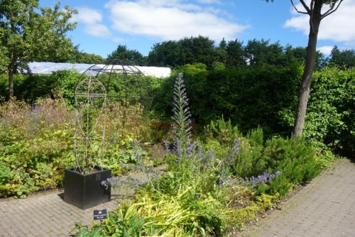 Alnwick Gardens - The Poison GardenThis garden is accessible by guided tour only, as it houses only 