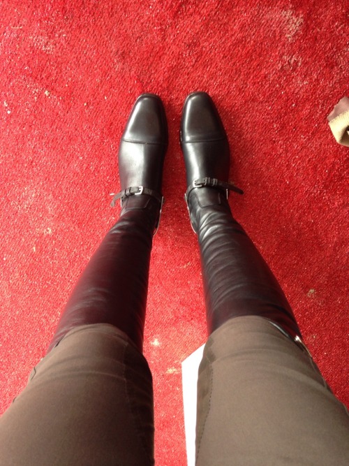 horseshowlife:Really obsessed with my new Parlantis