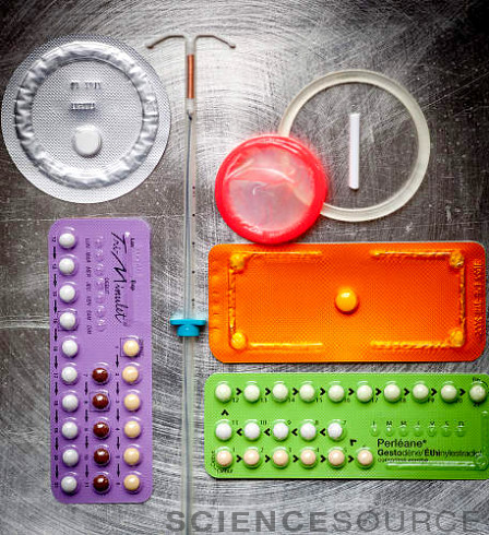 sagansense:  sciencesourceimages:  Drop In Teen Pregnancies Is Due To More Contraceptives,