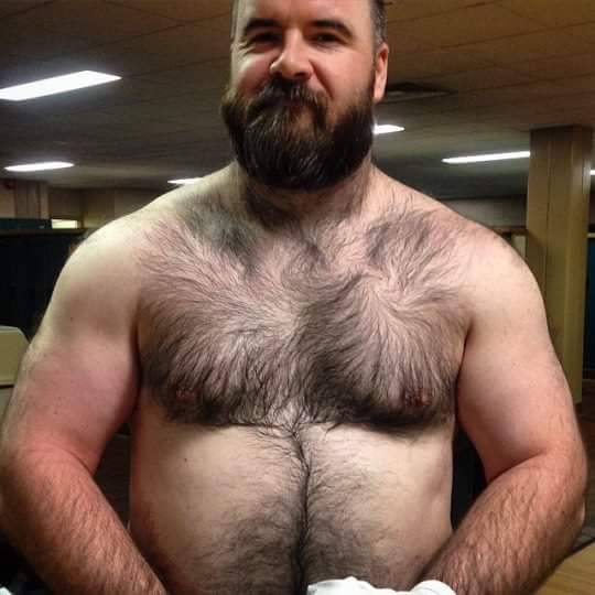 DaddiesandBears