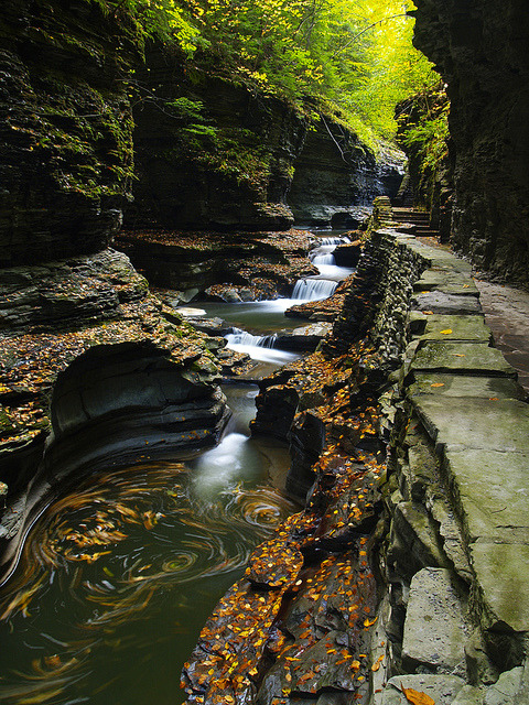 Watkins Glen State Park in New York, USA (by Matt Champlin).