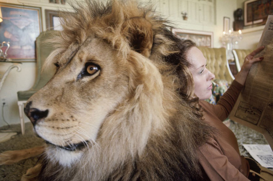 innocenttmaan:After a trip to Africa, actress Tippi Hedren, her husband Noel Marshall,