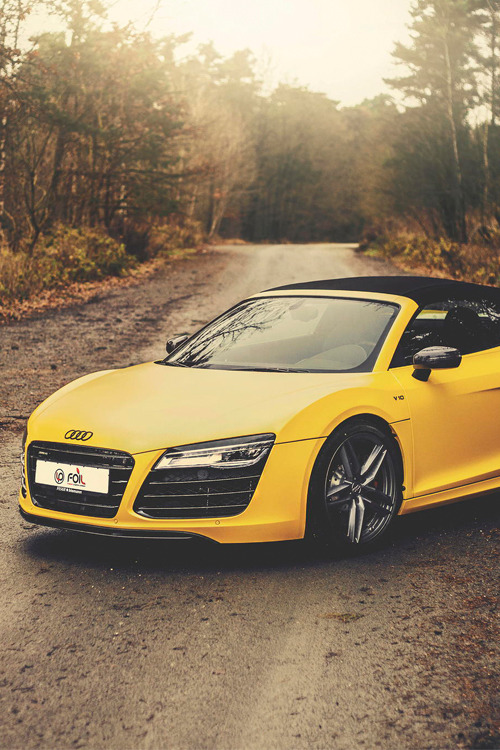 italian-luxury:  The road not taken | Italian-Luxury | Photographer