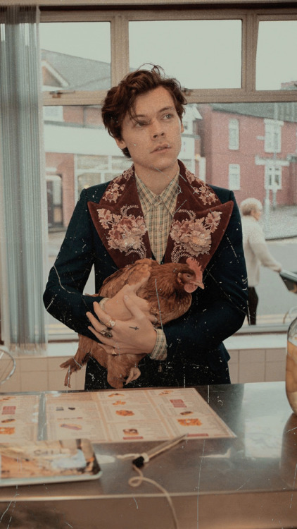 harry for gucci lockscreens like if save/use pleaseI advise taking a screenshot insted of saving the