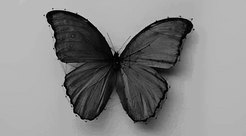 https://glitterinmyashes.tumblr.com/post/117137943958