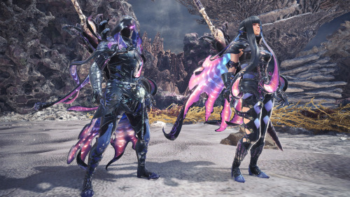 damnwyverngems:Arch-Tempered Namielle &amp; Namielle γ+ armor