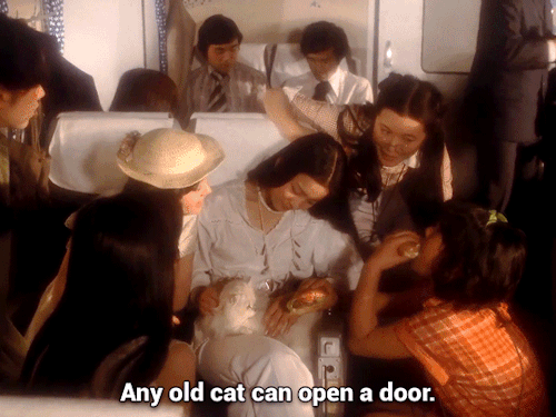 ashwilliam: HAUSU  1977 | dir. Nobuhiko Obayashi